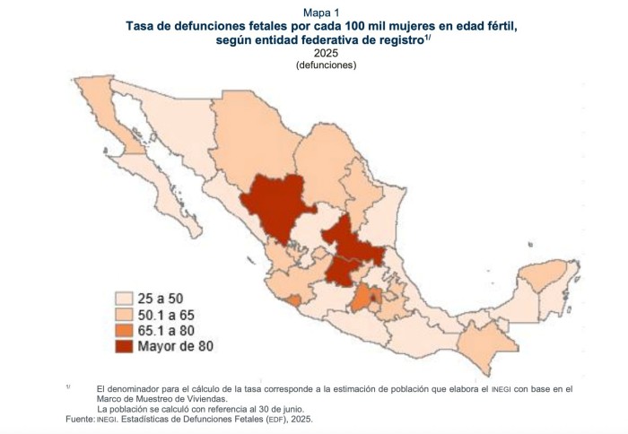 Yucatán: Preocupante Tasa de Muertes Fetales en 2025, Según Inegi