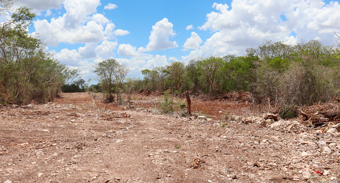 Anomalías en Reserva Cuxtal: alcaldesa anuncia ajustes