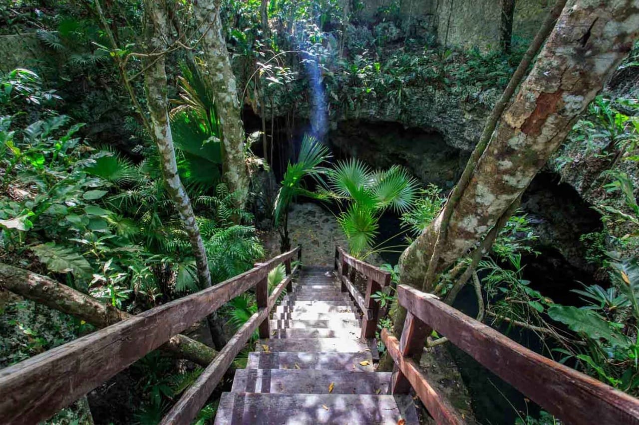 Caen más de 50% visitas al Santuario del Mono en Akumal