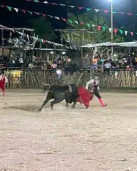 Animalistas obtienen suspensión de corridas de toros en Yucatán