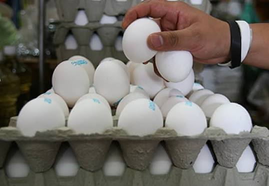 Precio de la reja de huevo subiría a 70 pesos en octubre