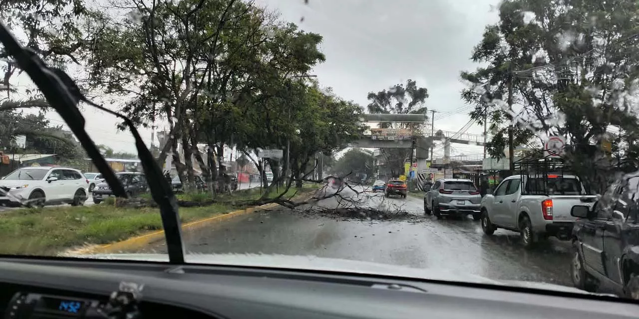 Apagón en oriente de Oaxaca deja sin luz a varias colonias