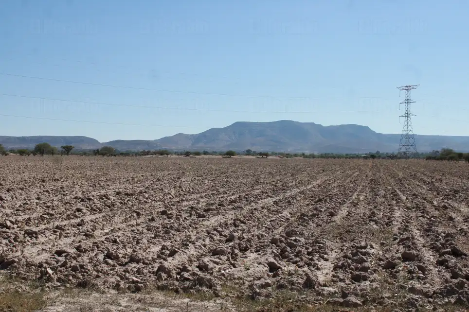 INIFAP alerta: disponibilidad de agua caerá hasta 30% en la región
