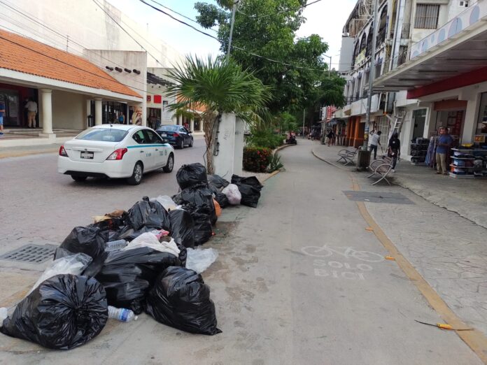 Redesol busca recuperar concesión de basura en Playa del Carmen