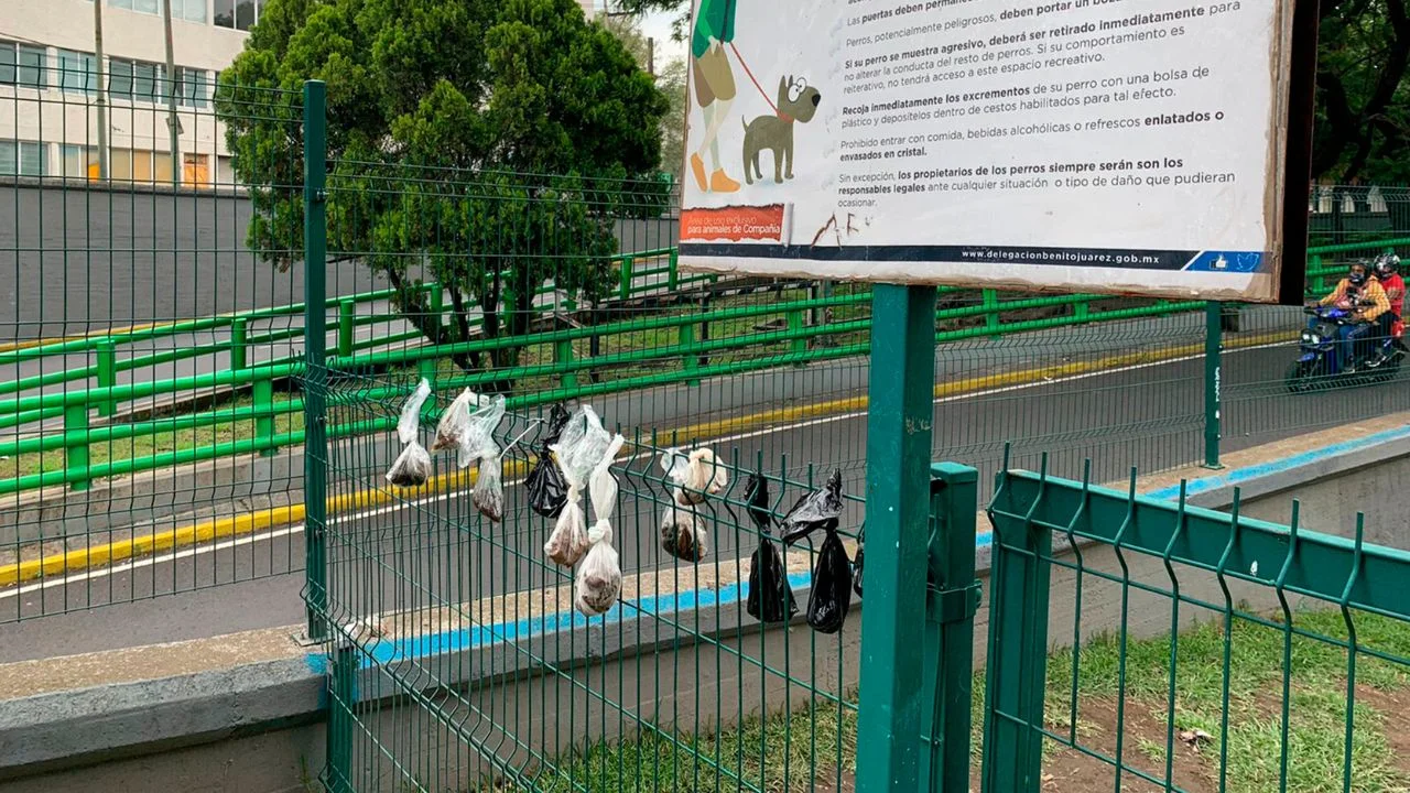 Urge manejar 8 toneladas diarias de heces de perro en CDMX
