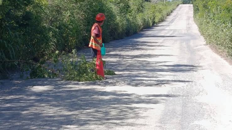 Carretera Alemán-Pejelagarto en abandono, denuncian vecinos