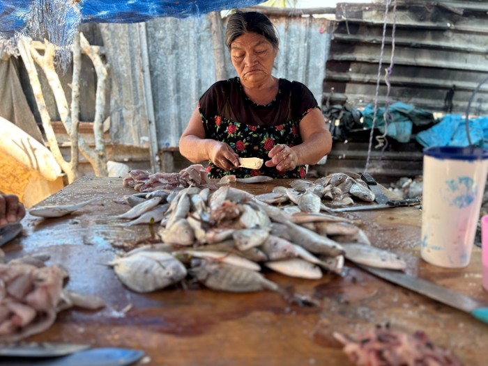 Yucatán tiene la menor participación de mujeres en Bienpesca