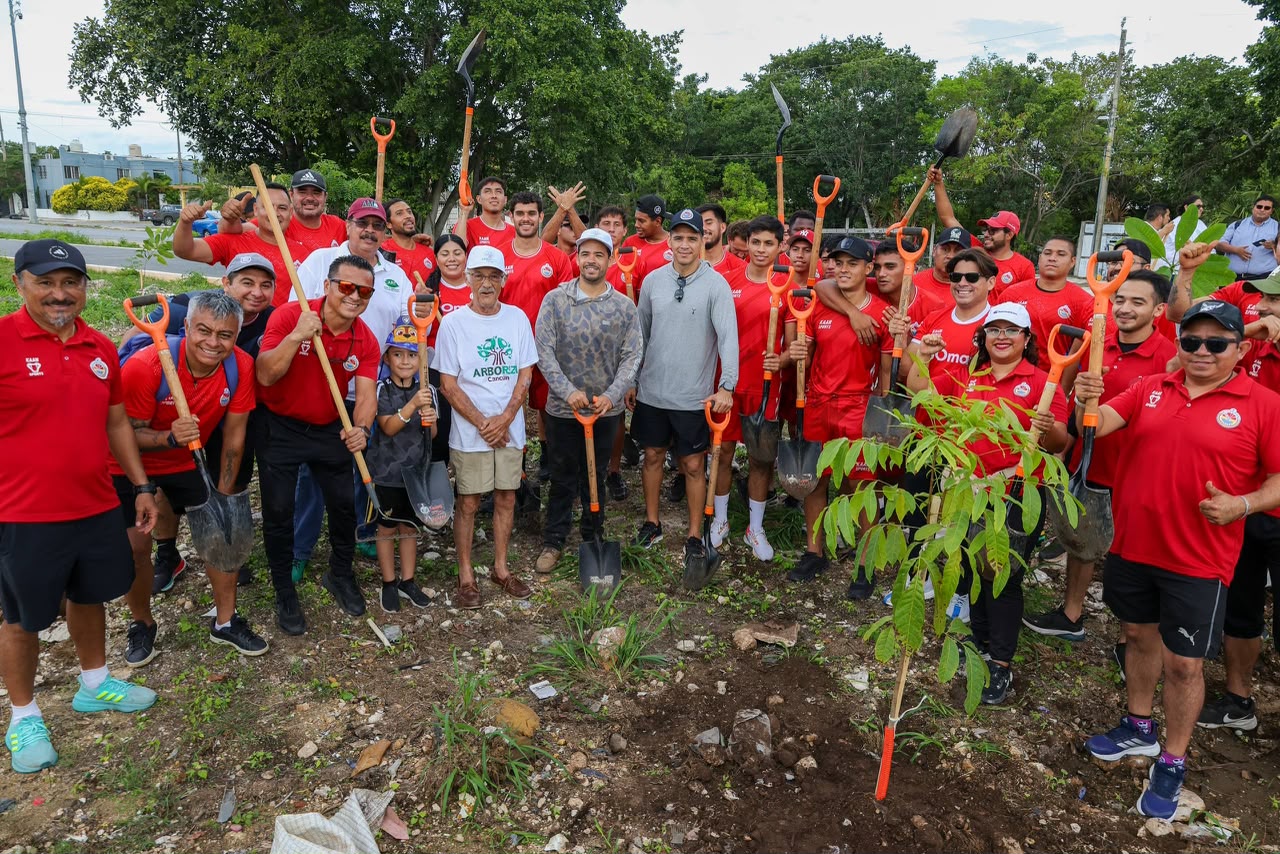 Plantan 150 árboles en avenida 20 de Noviembre de Cancún